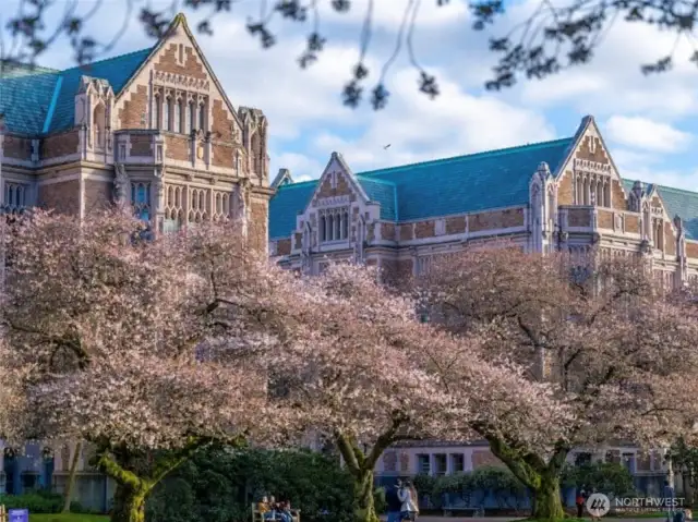 University of Washington - 8 min walk