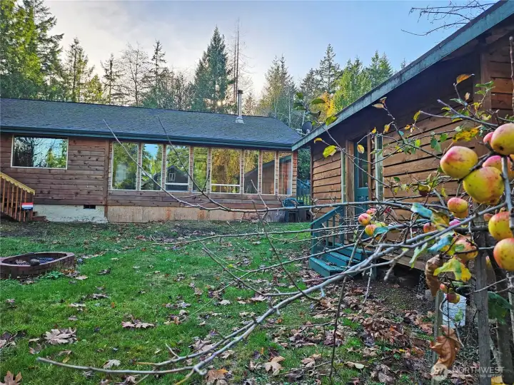Fruit trees and a fire pit in the back yard.