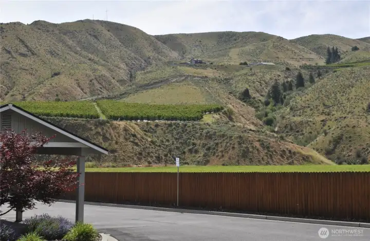 Mountain Views from front patio