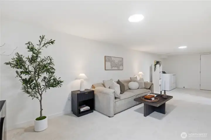 Basement family room