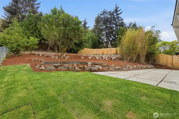 Large Backyard