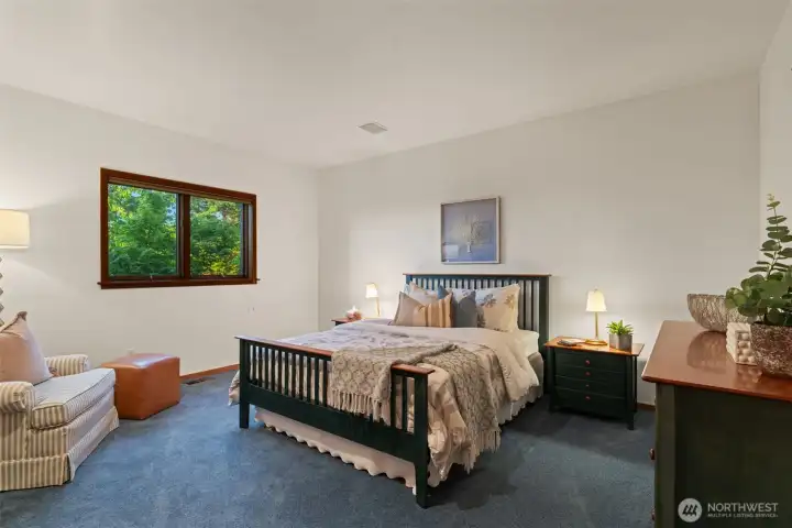Lower level bedroom.