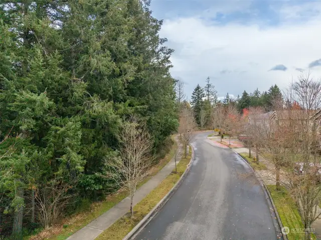 Road view along Bell Hill Pl