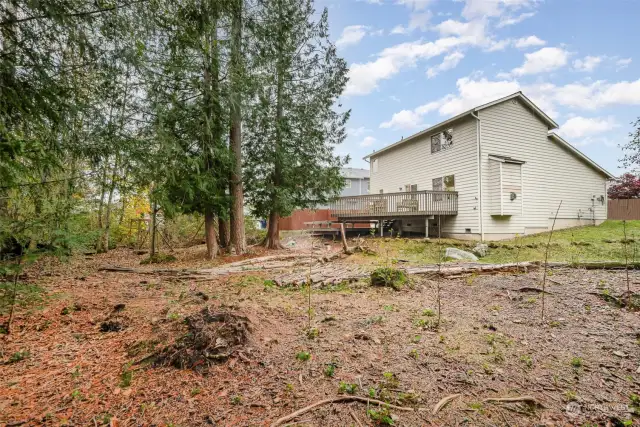 Backyard with Ample Space