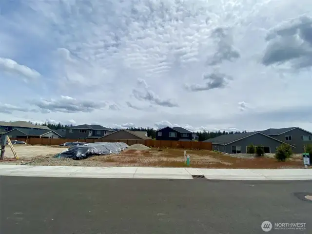 Actual homesite where home will be built.