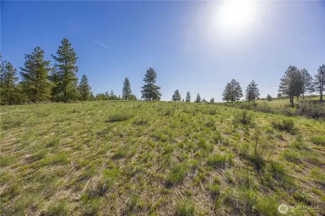 Welcome to Lot 8 of Blazing Star Lane, located in Chelan Vista Heights-East