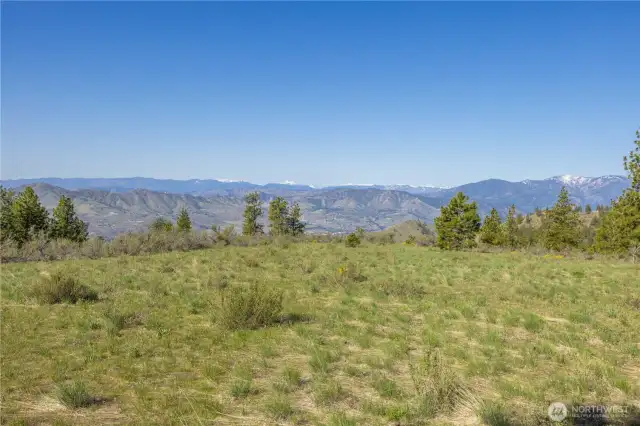 Steps away from the road, lots of level areas to situate your next dwelling.