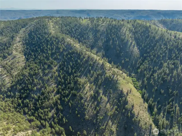 If you're a hiker, you will be on your own personal hiking grounds!