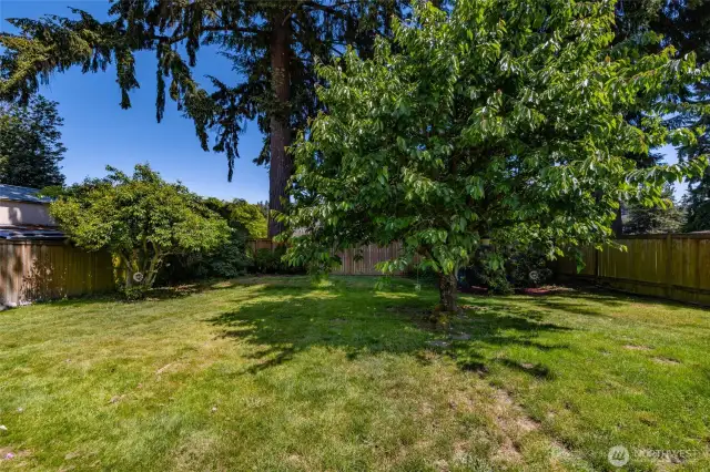 Here's the land / lot that you've been looking for.  Maybe that extra space for a studio or ???