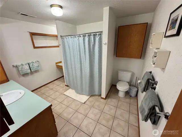 Basement Bathroom