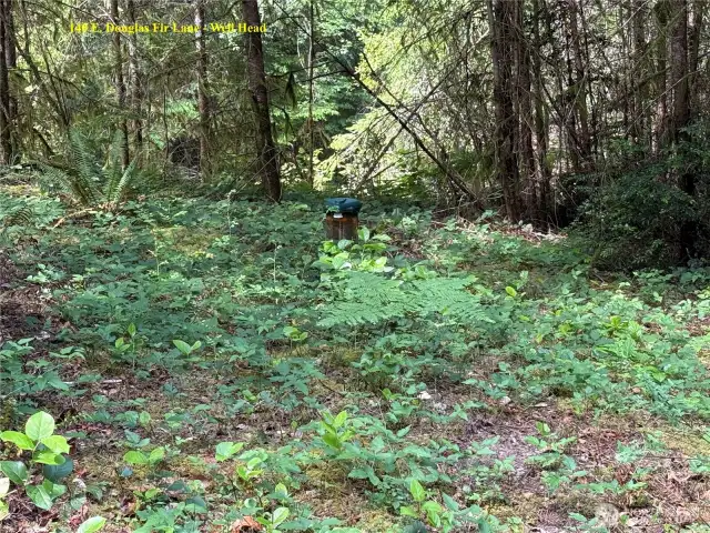 Well head for 140 E. Douglas Fir Lane