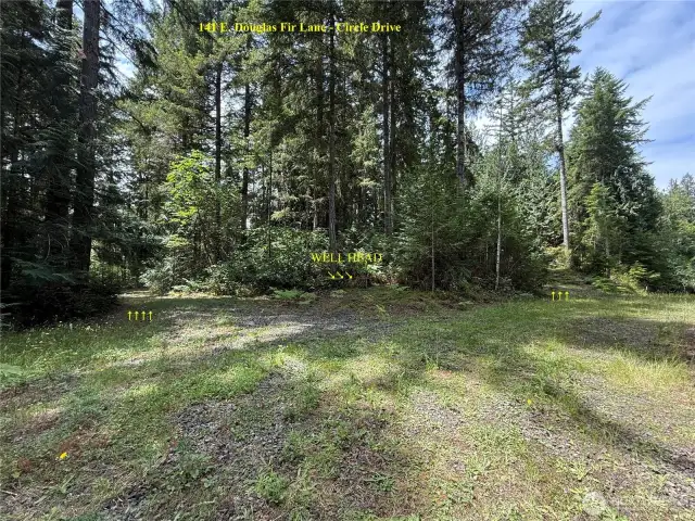 Circle/loop driveway of 141 E. Douglas Fir Lane
