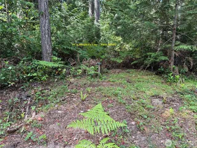 Well Head on 141 E. Douglas Fir Lane