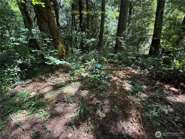 Well Head on 230 E. Douglas Fir Lane