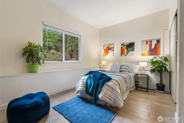 Large lower level 3rd bedroom