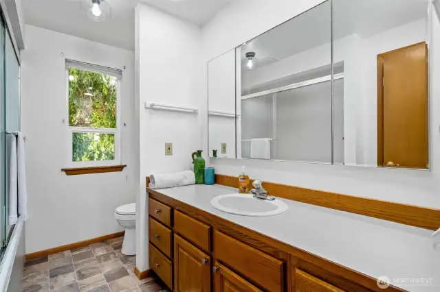The master bath with ample counterspace.