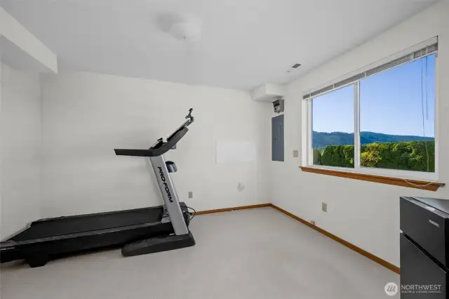Bonus workout room on the lower level.  Room with a view!