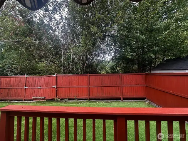 Back yard