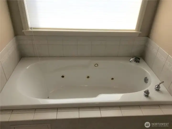 Primary Bathtub
