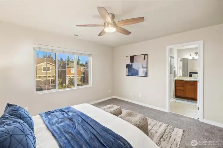 Ceiling Fan