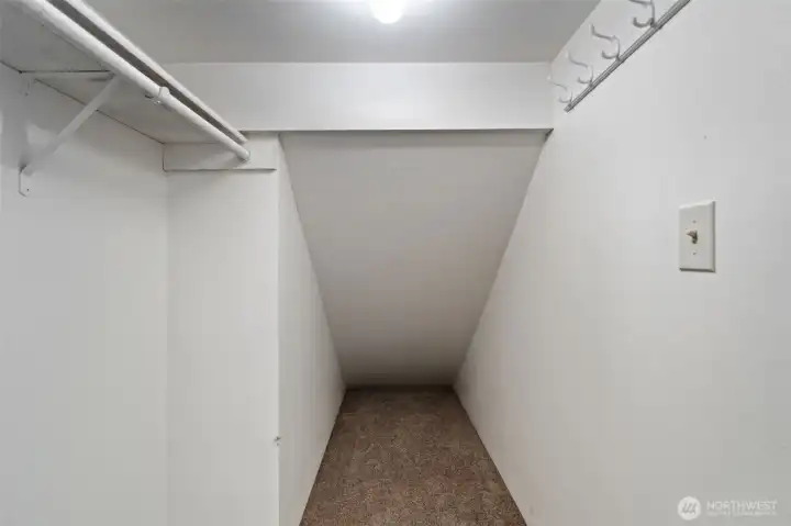 Deep downstairs utility closet