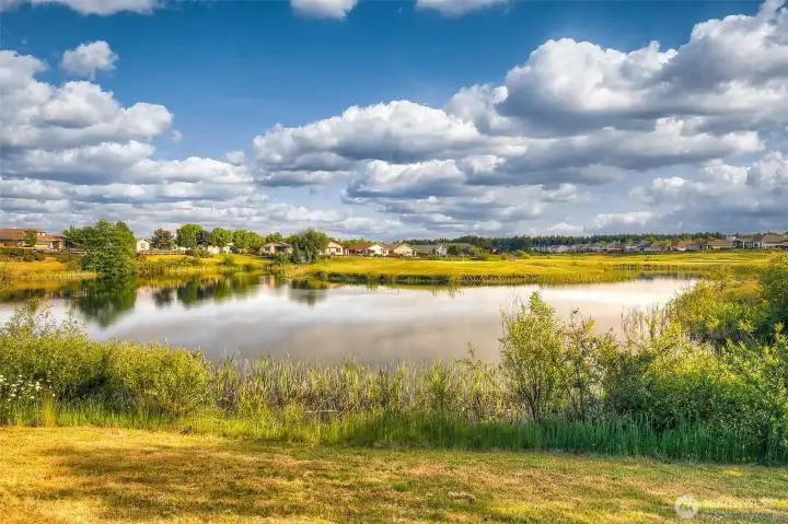 You'll find darling ponds like this one throughout the community, along your walks or during a round of golf.