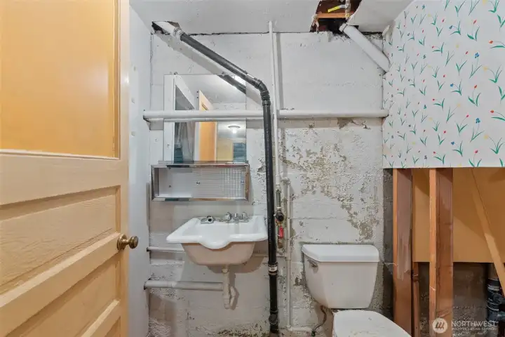 basement bathroom