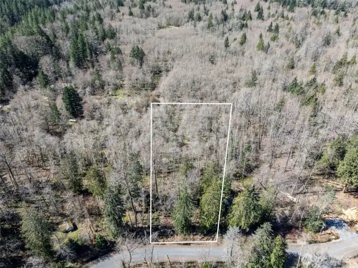 Lines are approximate