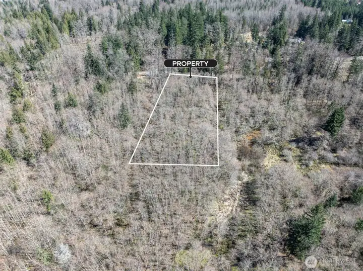 Lines are approximate