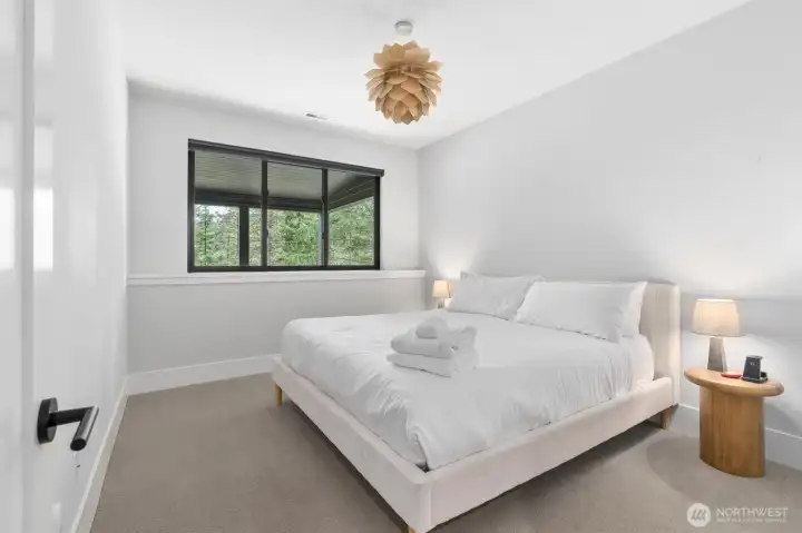 Downstairs Bedroom 4       Samsung Smart 55” Mounted TV with electrical outlet   Apple TV 4K   Light fitting    Closet shelving   Hunter Douglas Duette Architella 1 1/4'' Pleat size, Room darkening fabric with smart   Power View Motorization & external satellite rechargeable battery.  Remote Control & app   supported.  PowerView® Automation