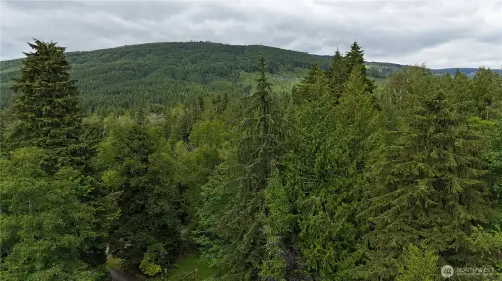 Mountain Views Mountain Views