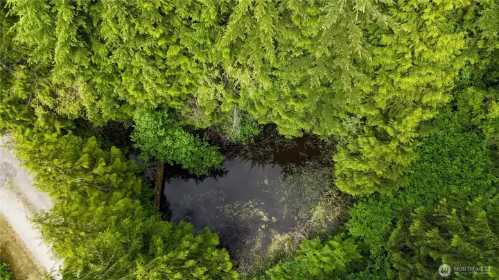 Pond with surrounding ability to develop with Gazebo Pond with surrounding ability to develop with Gazebo