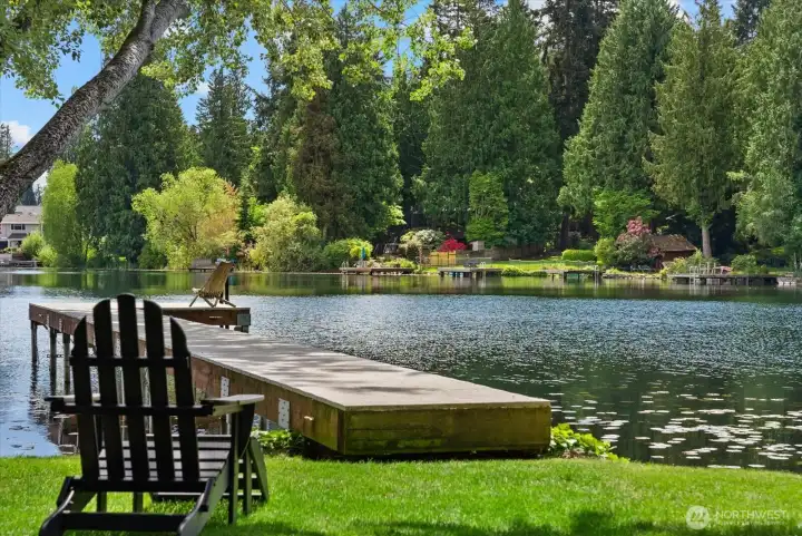 An oasis of serenity An oasis of serenity
