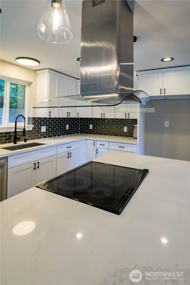 THIS RANGE HOOD IS A SHOW STOPPER