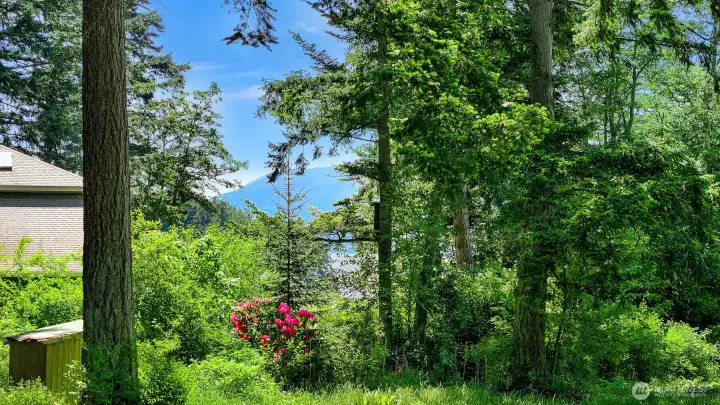 Peaceful retreat surrounded by natural beauty Peaceful retreat surrounded by natural beauty