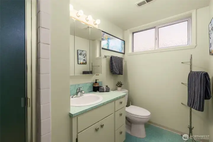 Lower level 3/4 bathroom. Lower level 3/4 bathroom.