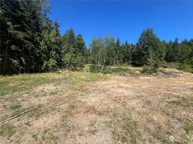 Lots of area for home, outbuildings & a farm?