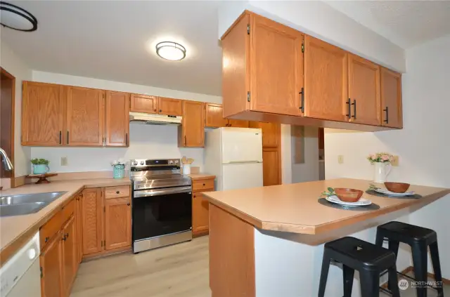 Kitchen with 2 entries from both living space plus dining room
