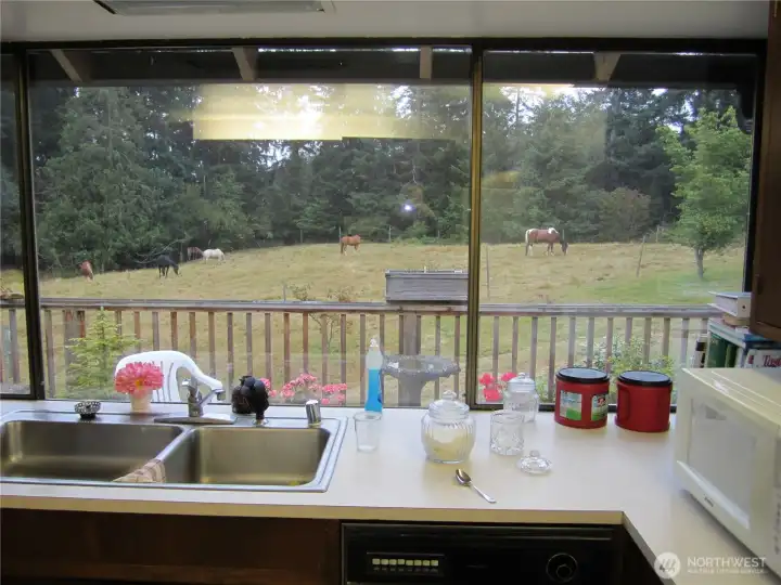 A kitchen view from the past.