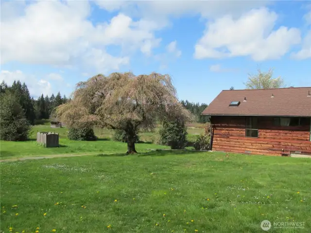 By storage shed viewing the house.