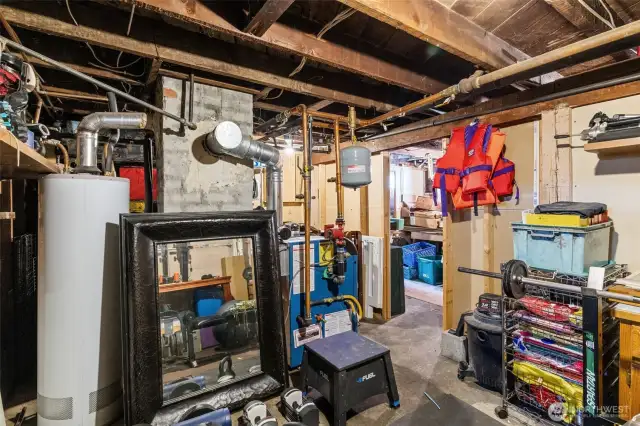 Main floor tenant has their own storage space and also they own their own washer/dryer