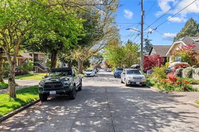 A perfect tree-lined street your chance to own and rent the other unit, totally rejuvenate to make it your forever home  or develope in this sought after neighborhood!