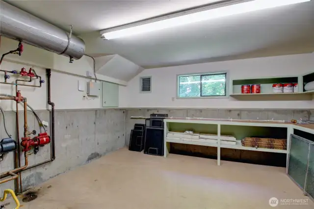 Basement with storage and workspace.