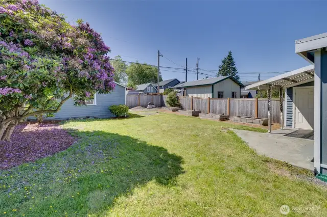 Yard looking back toward 2-car garage, raised garden beds, and access to alley.  Fully fenced front and back yards.