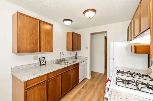 All kitchen appliances, including dishwashers!