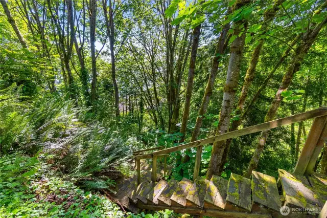 Steps and trails provide private access to the community beach where you will find covered picnic areas and a high tide marina. Or you can also use the community beach access.