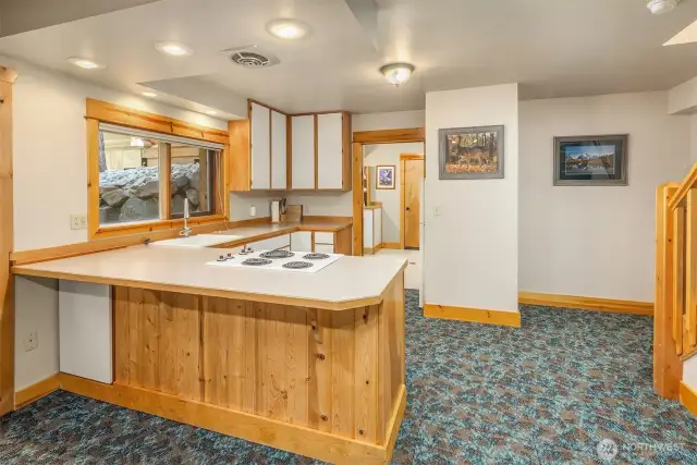 Daylight Basement Kitchen