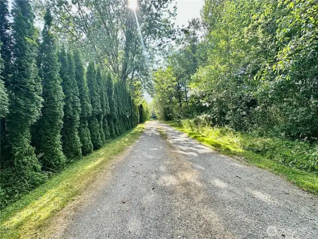 Driveway