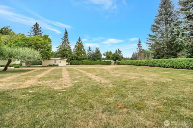 Expansive tree lined back yard.