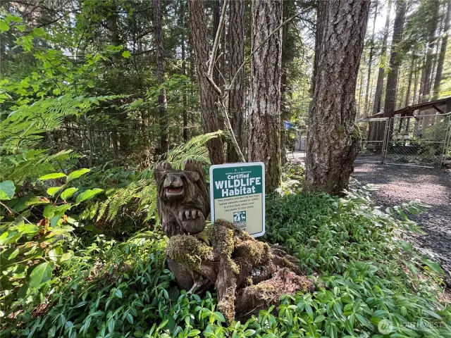 The designed landscape is a healthy biosphere for birds and other wildlife, designated an official wildlife habitat by the National Wildlife Federation.